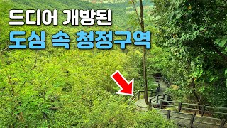 오랜 시간 사람의 발길이 닿지 않았던 도심 속 특별한 4.8km 트레킹 코스 | 대중교통 당일치기 여행