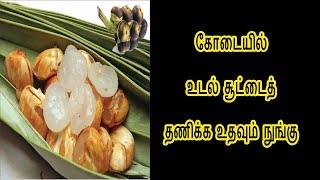 கோடையில் உடல் சூட்டைத் தணிக்க உதவும் நுங்கு | To get rid of body heat in summer