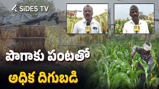 Tobacco Crop : నష్టమంటూ తెలియని లాభాల పంట | Tobacco Cultivation | Farming | #4sidestvtelugu