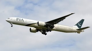 Pakistani plane crashes with dozens on board