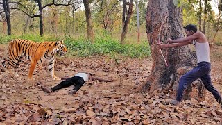 tiger attack man in the forest | tiger attack in the jungle | most dangerous tiger attacks