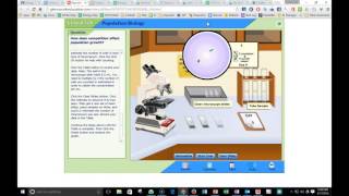 Instructions Virtual Lab
