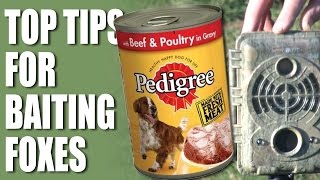 Top Tips for Baiting Foxes