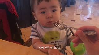 (12개월) 푸드 파이터 루이의 먹방! 레스토랑에서 한 접시 클리어~ / Baby Louis Mukbang at Cheese Cake Factory