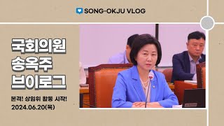 본격! 상임위 활동 시작! 송옥주브이로그 (2024.06.20) V-log