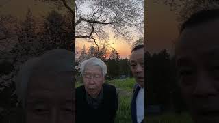 登米市東和町米谷城址の観桜会にやってきた。当主の高泉さんに歴史を教わりました。