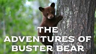 The Adventures of Buster Bear, by Thornton W. Burgess 🌟🎧📚 Full Audiobook