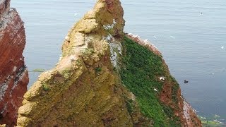 Helgoland Oberland Meer und Natur