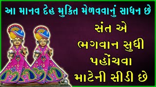 સંત એ ભગવાન સુધી પહોંચી મુક્તિ મેળવવા માટે ની સીડી છે I Baps_new_katha I #swaminarayan ✨🌼🙏