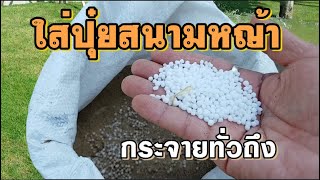 เทคนิคการใส่ปุ๋ยสนามหญ้า(Fertilizer) ให้กระจายทั่วถึง