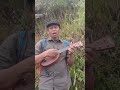 Nyanyikanlah _ Lagu Pramuka || Ukulele Cover