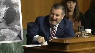 Sen. Cruz HARDLINE Questions Mayorkas Over Border