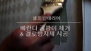 벽지 뜯지말고 붓칠만으로 결로현상 해결! / 직접 시공해서 100만원 절약하기