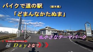 超人気【道の駅】【とちおとめ】あるし【佐野ラーメン】あるしココだけでも良くない？