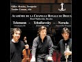 concerto pour alto twv 51 g9 iv. presto