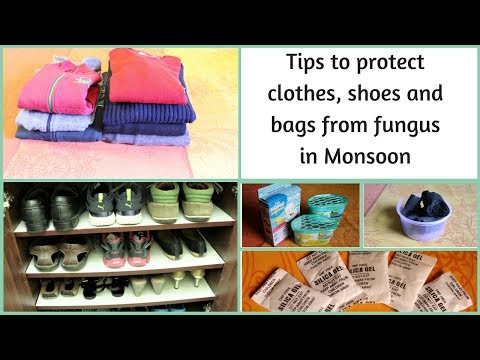 Tips to protect clothes, shoes and bags from fungus in Monsoon Tips to protect clothes, shoes and bags from fungus in Monsoon