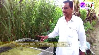 Marathi : Ahamadanagar : Bapusaheb Gade :16 Year’s Journey of Zero Budget  Sugarcane Farming