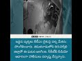 cctv video దొంగలు అర్ధరాత్రి ktm బైకుపై వచ్చి మేకను ఎత్తుకెళ్లారు.. short viral video