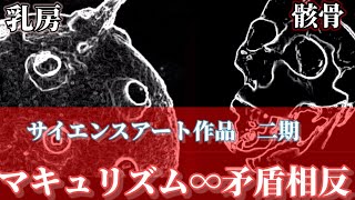 【サイエンスアート作品】 男女平等 ∞人間の抱える 矛盾と相反