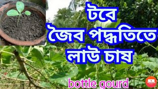 জৈব পদ্ধতিতে লাউ চাষ করতে এই ভিডিওটি দেখুন| Organic bottle gourd cultivation||Lau Cash