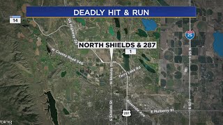 Man Found Dead Along Larimer County Road, Medina Alert Issued In Search For Damaged RAV4