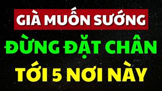 Già Rồi, Muốn Yên Thân Tuyệt Đối Không Tới 5 Nơi Này, Hoàn Toàn Không Có Lợi Ích Gì Cả!