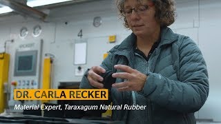 Material Expert Natural Rubber for Tires | Continental job careers