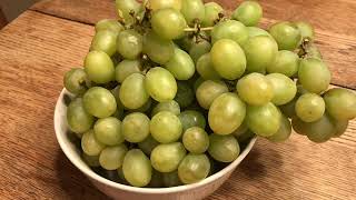 Grape Daily (DAY 2644)