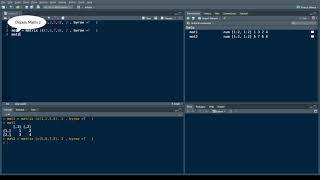 R Matrix Basic Multiplication