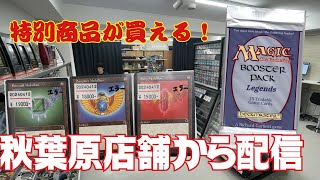 【特価】特別な商品が状態確認しながら買える！MTG専門店から生配信！【東京MTGオンラインブース】