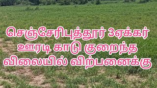 (365)செஞ்சேரிபுத்தூர் ஏரியா 3ஏக்கர் செம்மண் பூமி தார் ரோடு அருகில் குறைந்த விலையில் விற்பனைக்கு