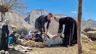 An amazing experience with the nomads of Iran|Kohestan, authentic and heartwarming life🏔🌍