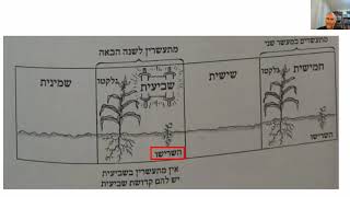 דף יומי מסכת ראש השנה דף יג  Daf yomi Rosh Hashanah page 13   ע"י יוני גוטמן