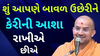 શું આપણે બાવળ ઉછેરી..Apurvamuni Swami Pravachan | BAPS Pravachan | @ApurvaGyan  | Motivational Video