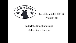 Active Star's Electra gör MT 2023 (Mentaltest 2017)