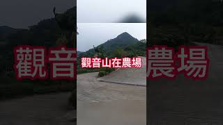 嘉道理農場 觀音山 #旅行 #旅行 #hiking #travel #gpx #旅遊 #旅遊 #行山路線 #vlog #4k拍攝 #automobile