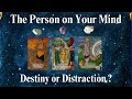 THE PERSON ON YOUR MIND (destiny or distraction) 🤔  #timeless Tarot Psychic Reading! * Pick A Card *