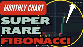 RARE Monthly CHARTS BUY - TSLA NVDA SPX AMZN AMD Fibonacci Technical Analysis - Stock Market Outlook