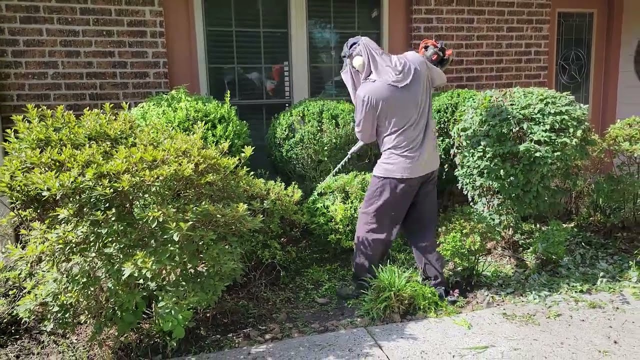 Bush Trimming In Real Time 3 Youtube