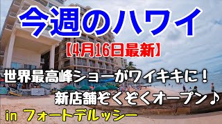 【今週のハワイ★４月１６日最新版】１週間のハワイ情報をまとめてお届け♪これを見ればハワイの今がわかる！！