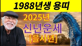 [1988년생 용띠] 2025년 을사년 신년운세 #을사년운세 #1988년생운세 #용띠운세 #신년운세 #신년 #신년운 #용띠 #왕파tv