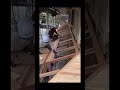 【日本の大工の技】古民家リノベーション 屋根板張り！japanese carpenter skills shorts