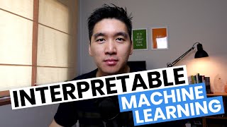 Interpretable Machine Learning Models