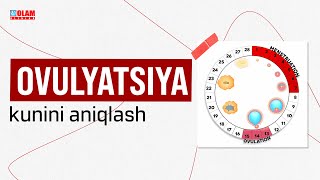 OVULYATSIYA KUNINI ANIQLASH | OLAM KLINIKA