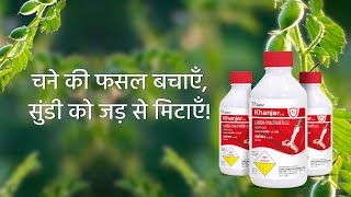 चने की फसल पर फली छेदक का हमला? Best \u0026 powerful insecticide for podborer.