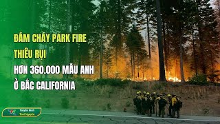 Đám cháy Park Fire thiêu rụi hơn 360.000 mẫu Anh ở Bắc California| Thái Nguyên TV