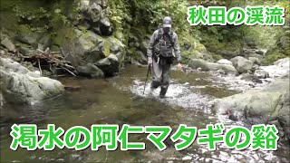 渇水の阿仁ﾏﾀｷﾞの谿  ~秋田の渓流~ / みちのく釣りの旅  ﾌﾗｲﾌｨｯｼﾝｸﾞ渓流釣り(4K) fly fishing