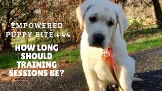 Empowered Puppy Bite #44: How Long Should Training Sessions Be?