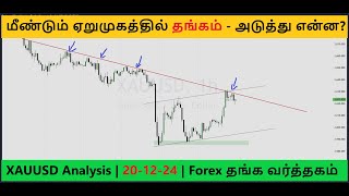 XAUUSD Daily Analysis | 20-12-24 | Forex தங்க வர்த்தகம் | Forex Gold Trading Strategies Tamil