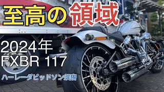 【ハーレーFXBR 117】大カスタムブレイクアウト！